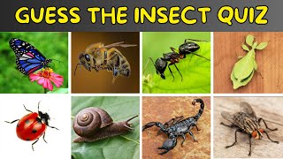 Guess The Insect Quiz  Insects Quiz [upl. by Rozek3]