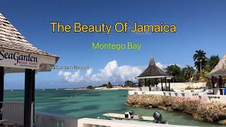 The Beauty of Jamaica  SeaGarden in Montego Bay letvisitworld [upl. by Kered627]