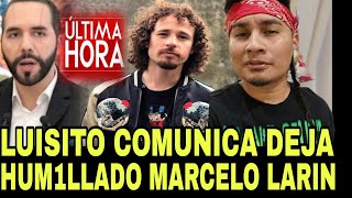 ALERTA  LUISITO COMUNICA DEJO HUM1LLADO A MARCELO LARIN Y LE CERRO LAS JETAS POR CHAMBROSO [upl. by Genisia]