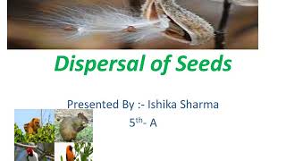 EVS Project quotDispersal of Seedsquot by Ishika Sharma Class V [upl. by Rosette]