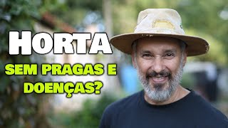 Como ter uma horta orgânica com baixo nível de infestação de pragas [upl. by Penhall593]