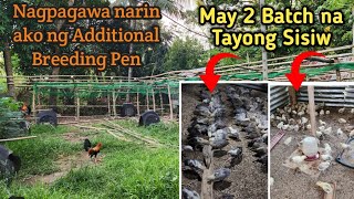 Farm Vlog 241101 Pag papagawa ng Additional Breeding Pen goddessesfarm [upl. by Gnoh]