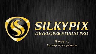 Silkypix developer ЧАСТЬ  1 studio обзор программы [upl. by Pul]