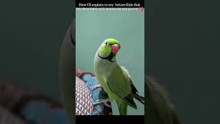 ❤️parrotingpetbird parrot birds singingparrot indianbird parrotsinging indianringneckparrot [upl. by Elimac]