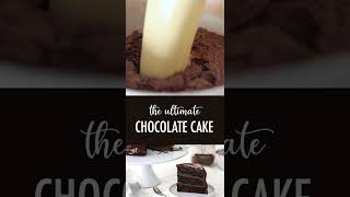 1 minute recipe of chocolate cake shorts [upl. by Emili]