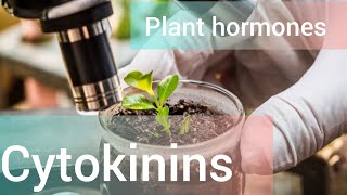 Cytokinins plant growth hormone [upl. by Ahsinom]