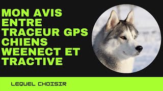 Comparaison entre traceur weenect dogs 2 et tractive gps dog 4 [upl. by Schulz]