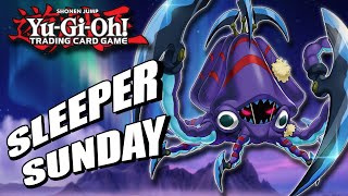 Fusion SUPREMACY YuGiOh Sleeper Sunday  Fluffal  InDepth Deck Profile  Replays [upl. by Vikky]