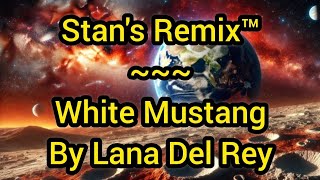 Stans Remix of White Mustang [upl. by Ecinej662]