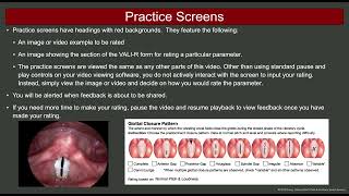 e297 Preview Endoscopic Assessment VoiceVibratory Assessment With Laryngeal Imaging VALIR [upl. by Rosse589]