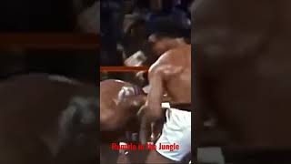 Ali vs Foreman The Rumble in the Jungle highlights muhammadali boxinghighlights [upl. by Leugim]