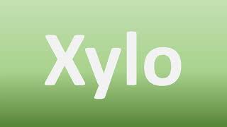 How to Pronounce Xylo [upl. by Llewxam]