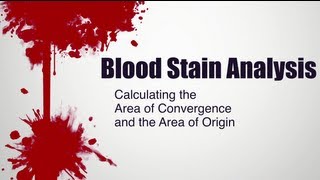 Blood Stain Analysis  Calculating the Area of Convergence and the Area of Origin [upl. by Raval705]