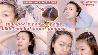 Perawatan Khusus Untuk Rambut Rontok amp Tipis  Lab on Hair [upl. by Karia]