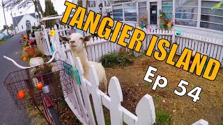 Whats on Tangier Island  Sailing Wisdom Ep 54 [upl. by Sokul466]