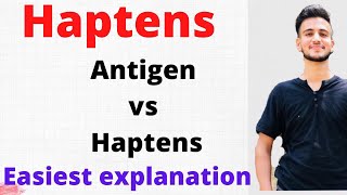 Haptens VS Antigens  Haptens in Immunology [upl. by Ferguson]