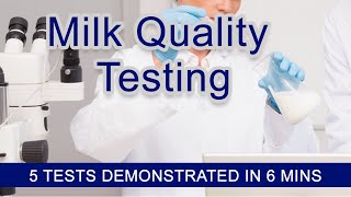 Quality Testing of Milk  5 Tests in One  2021 Video [upl. by Solakcin]