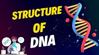 Structure of DNA deoxyribonucleic acid  Nucleotide structure  Composition of DNA [upl. by Desdee43]