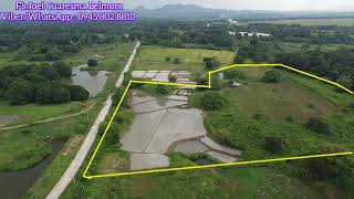 farmlot aerial view 28 hectares Umingan Pangasinan 3 minutes from Highway [upl. by Assil]