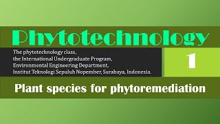 Phytotechnology class 1 Adri Sulthan Ervandi phytotechnology environment [upl. by Odericus]