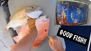 GOOD FISH  Deep Sea Fishing Charter Coral Bay WA EP8  Why they call it a Pearl Perch [upl. by Onifur360]