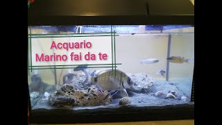 Acquario Marino fai da te semplice e veloce [upl. by Brande726]