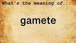 Gamete Meaning  Definition of Gamete [upl. by Gerstein]