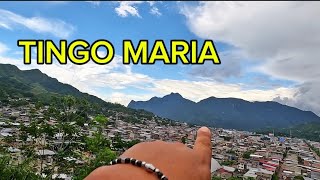 TINGO MARIA PERÙ 🇵🇪 conociendo la montaña BELLA DORMIENTE [upl. by Jelene510]