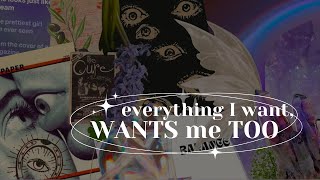 quoteverything I want wants me tooquot blockage remover amp mindset booster subliminal calm 432Hz [upl. by Lebatsirc]