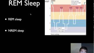 AP Psychology  Consciousness  Part 1  Sleep [upl. by Sawtelle]