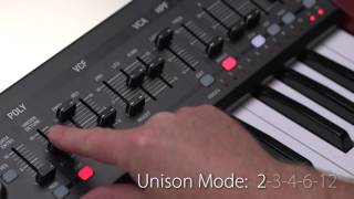 BEHRINGER Synth Vol 6 DCO [upl. by Hawkie]