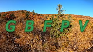 GBFPV HD1 High speed fall colors Mt Surfing 10 29 24 [upl. by Blane]