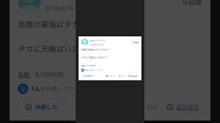 【ヤフー知恵袋】「鳥類の最強はタカですか？」→この質問についた秀逸なベストアンサーが面白すぎるwww shorts ヤフー知恵袋 朗読 [upl. by Alberta]