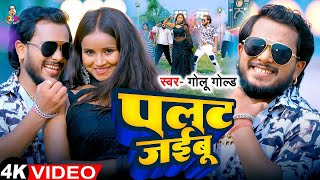 Video  पलट जइबू  Golu Gold  Palat Jaibu  New Bhojpuri Hit Song 2024 [upl. by Rocker]