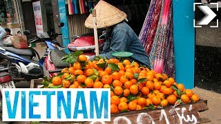 Españoles en el mundo Vietnam 13  RTVE [upl. by Suh]