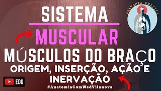 MÚSCULOS DO BRAÇO❗ORIGEM INSERÇÃO AÇÃO amp INERVAÇÃO❗QUAIS SÃO❗❓DESCUBRA AQUI❗Anatomia Prática [upl. by Etom]