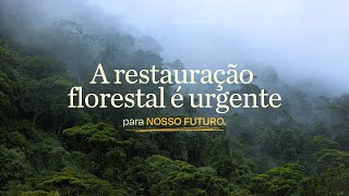 A restauração florestal é urgente para o nosso futuro [upl. by Nnylaehs]