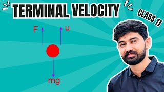 Terminal Velocity  Class 11 Physics Term 2  The Science Behind Falling Objects  Parveen Sir [upl. by Hildebrandt]