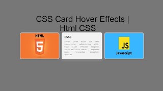 CSS Card Hover Effects HTML5 CSS3 [upl. by Acus]