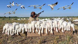 Decoying Snow Geese Over a Tiny Spread CLOSE SHOTS [upl. by Harve]