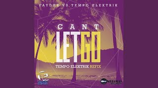 Cant Let Go Faydee Vs Tempo Elektrik Tempo Elektrik Refix [upl. by Musette]