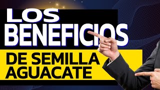 Transforma tu Salud con la Semilla de Aguacate Beneficios que No Conocías [upl. by Milka]