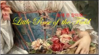 Heidenröslein Little Rose of the Field 들에 핀 장미화  ڪے 🌸🍃 [upl. by Aleihs506]