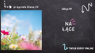 Przyroda klasa 4 Lekcja 39  Na łące [upl. by Silden366]