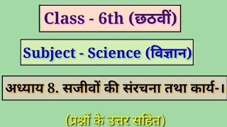 कक्षा  6वी विषय  विज्ञान अध्याय 8 सजीवों की संरचना तथा कार्य  l [upl. by Souvaine]