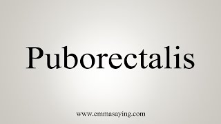 How To Say Puborectalis [upl. by Tito]