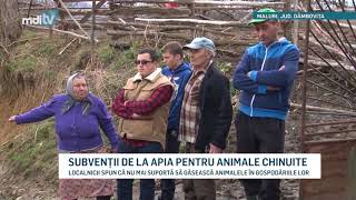 SUBVENTII DE LA APIA PENTRU ANIMALE CHINUITE YOUTUBE [upl. by Yevoc]