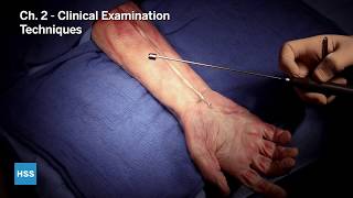 Palmaris Longus Tendon Part 2 Clinical Examination Techniques [upl. by Kessel]