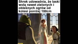 Czego quotShrekquot uczy nas o relacjach [upl. by Kubis]