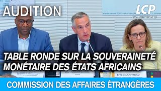 Table ronde sur la souveraineté monétaire des États africains et le devenir du franc CFA [upl. by Bithia]